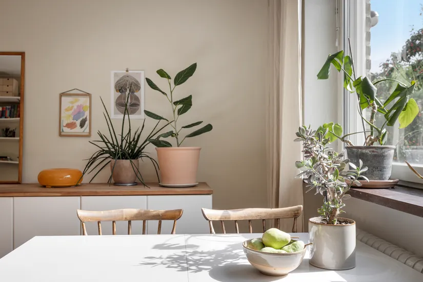 Bostadsrätt, Bragegatan 5 B, Dalaplan, Malmö