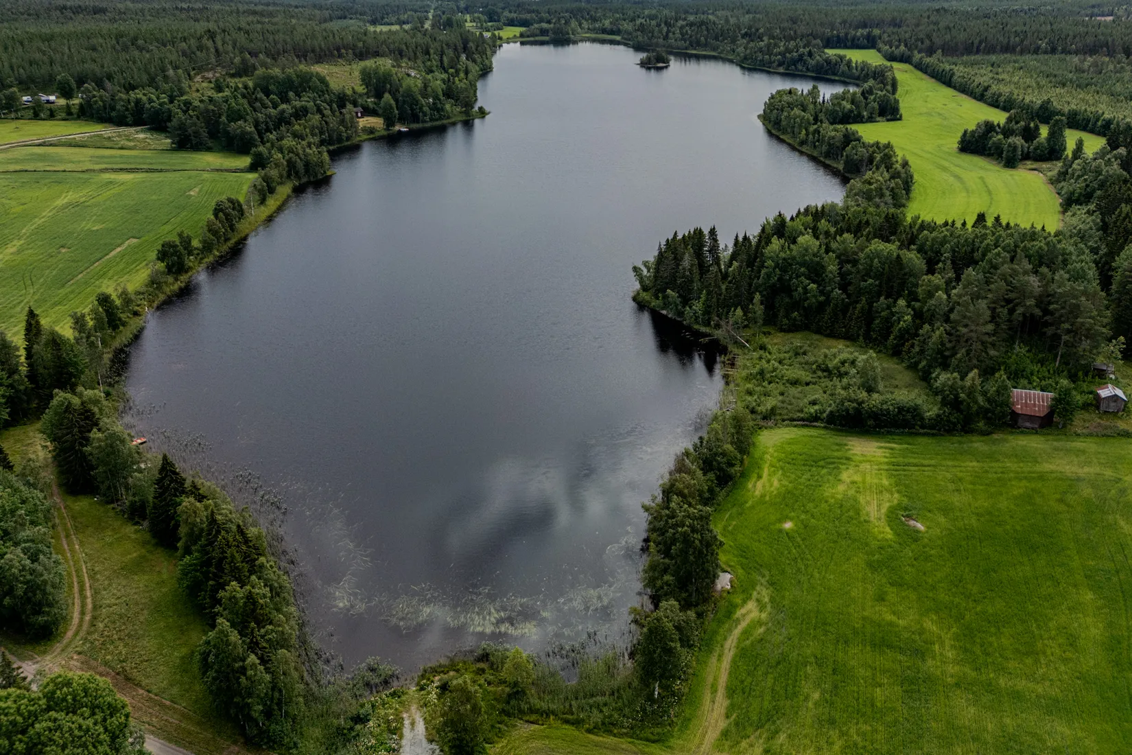 Gård/Skog, Blacke 19, Blacke, Skellefteå