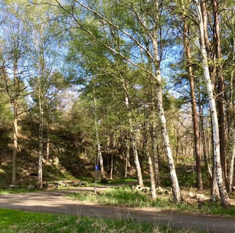 Radhus, Karmosingatan 62, Eckran, Göteborg