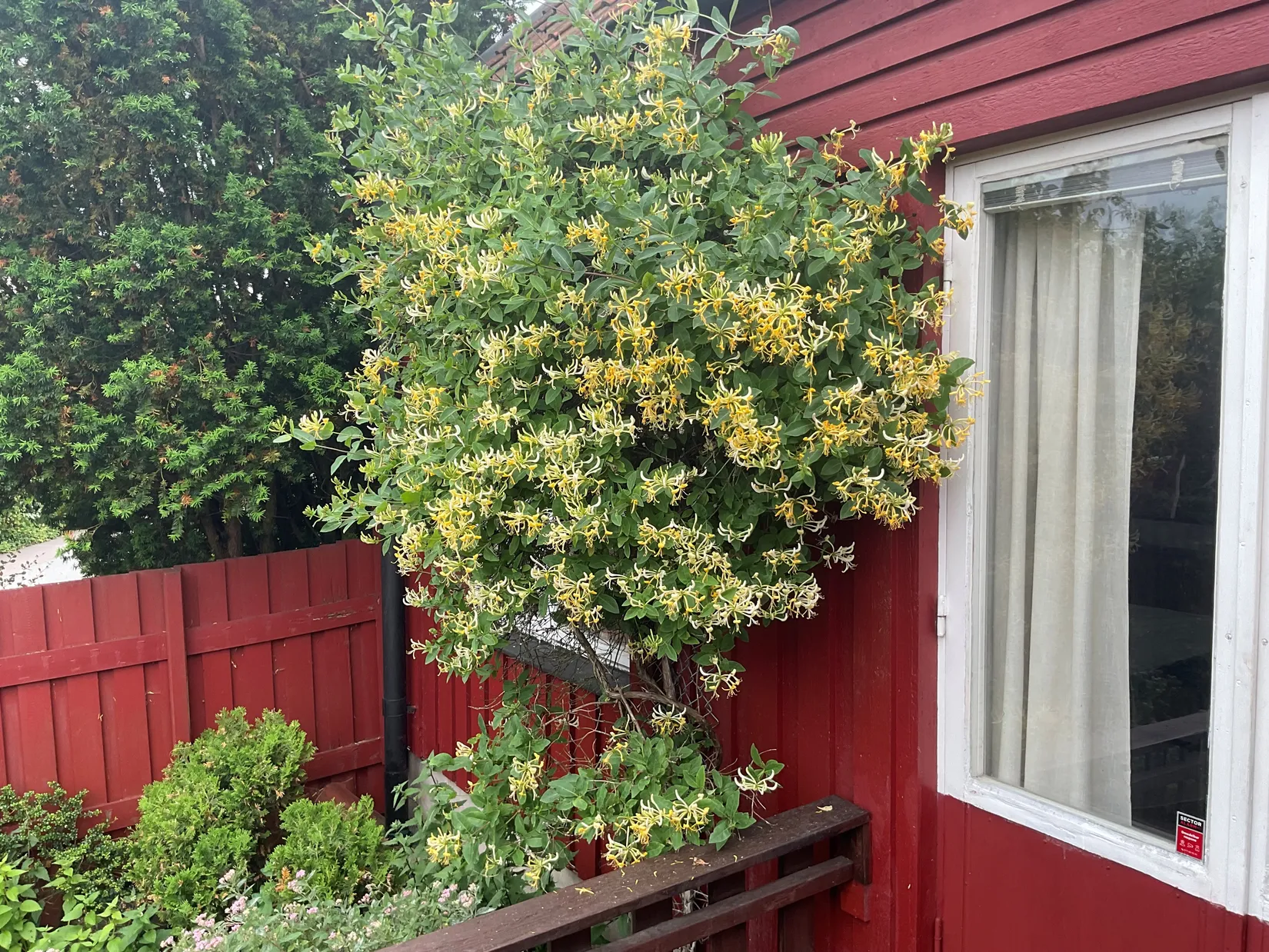 Radhus, Karmosingatan 62, Eckran, Göteborg