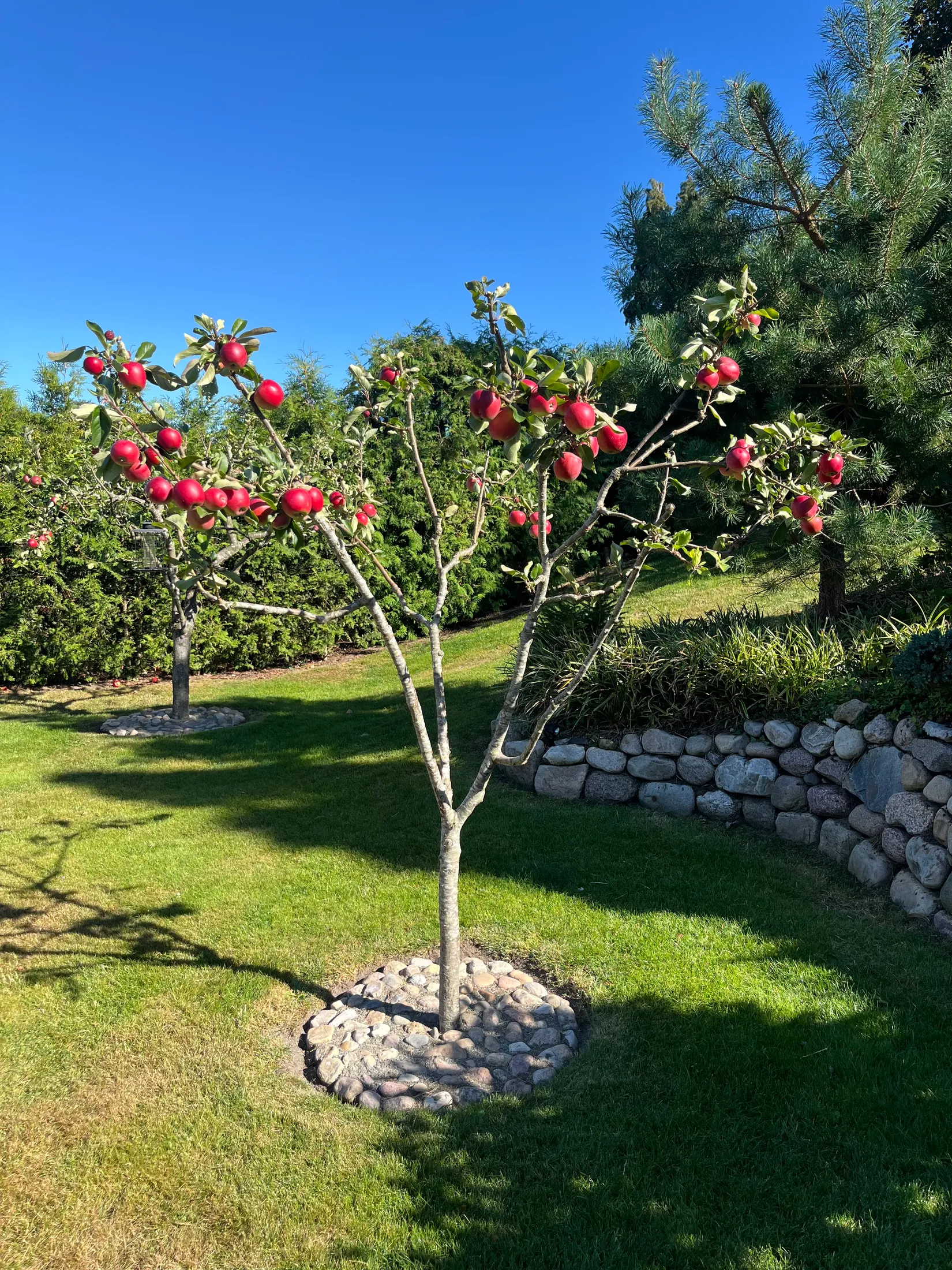 Villa, Greve Alfreds väg 15, Sövde, Sjöbo