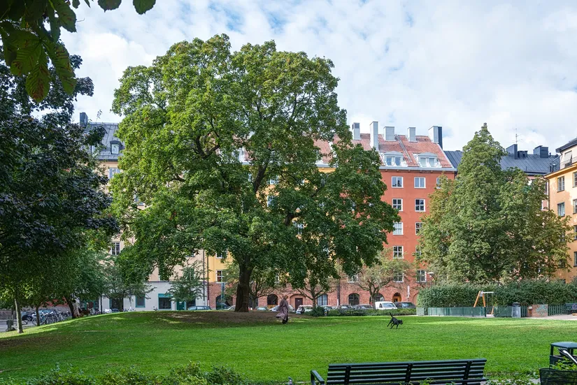 Bostadsrätt, Bjurholmsgatan 37, Södermalm Katarina, Stockholm