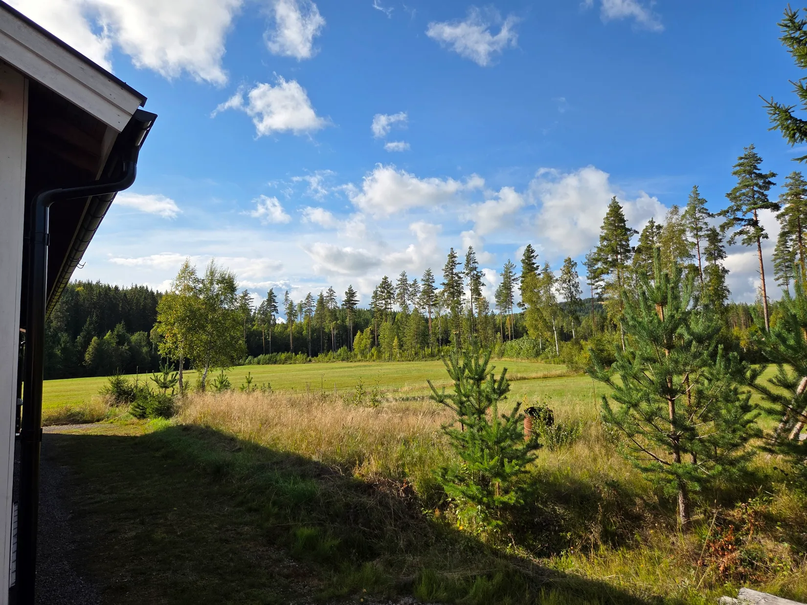 Gård/Skog, Västra Våle Vråa 2, Hagfors