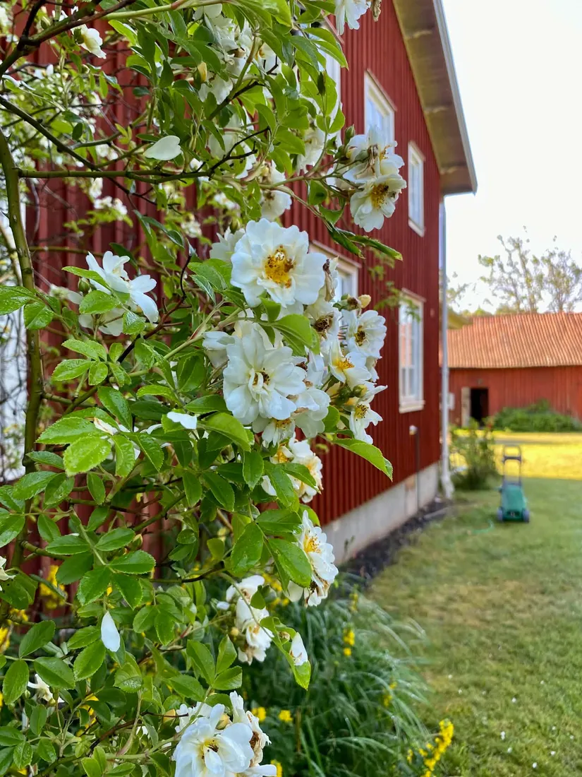 Gård/Skog, Brändeskogsvägen 15, Stenkullen  Slätthult, Lerum