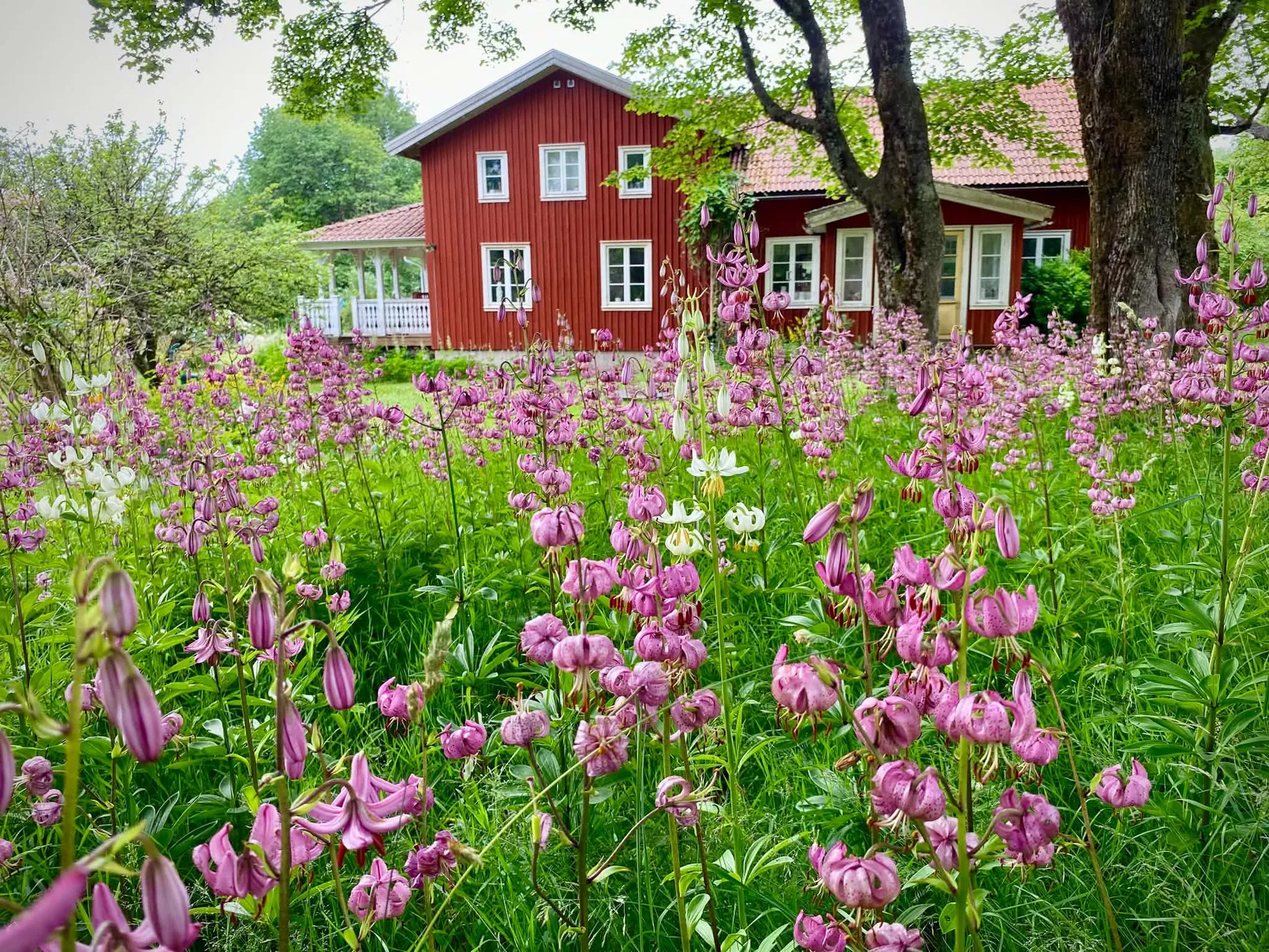 Gård/Skog, Brändeskogsvägen 15, Stenkullen  Slätthult, Lerum