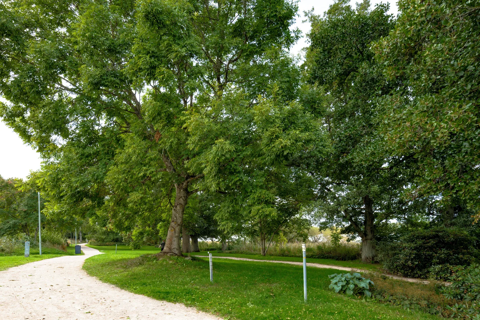 Bostadsrätt, Unamans väg 1, Kampen, Växjö