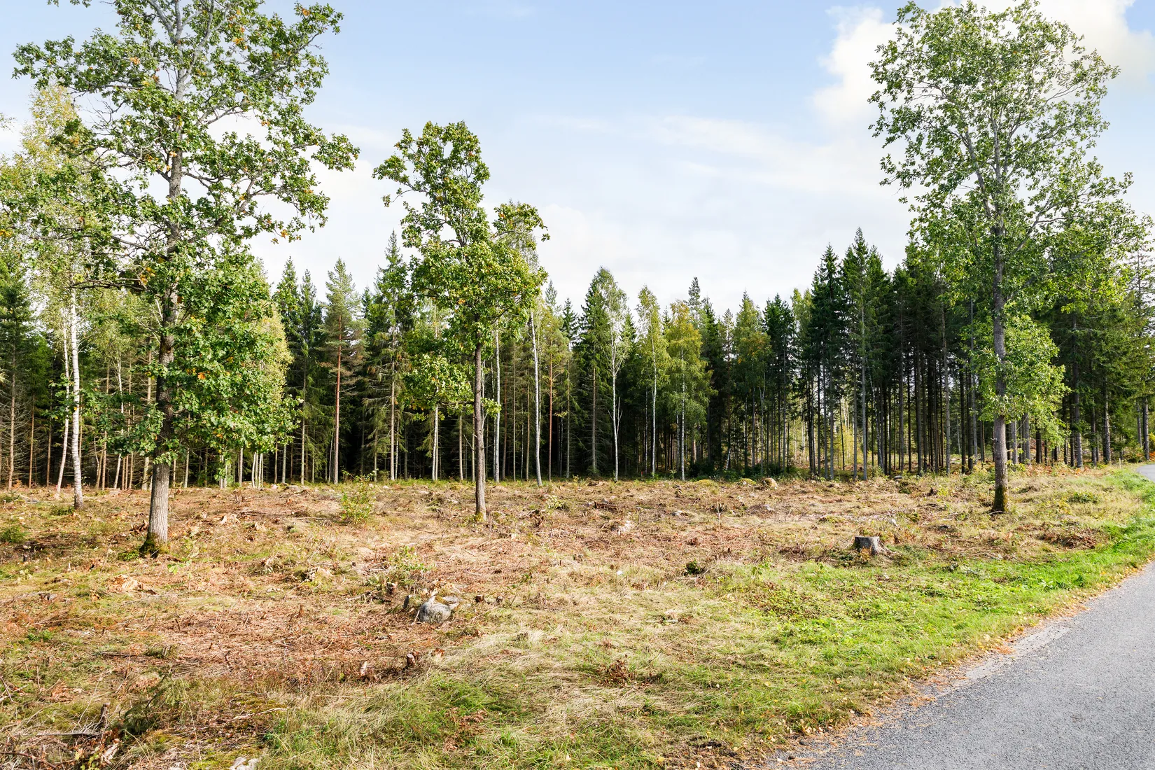 Tomt, Tovrida Udde Tomt A, Tovrida, Jönköping