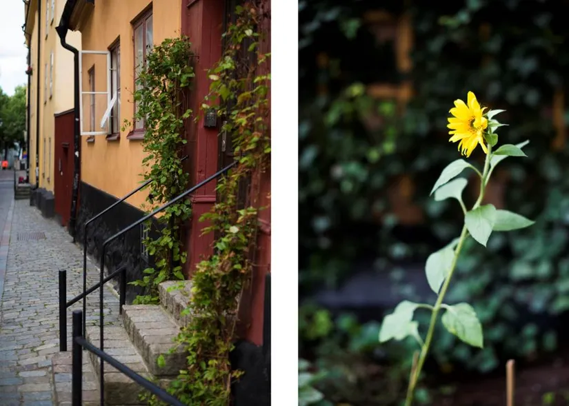 Bostadsrätt, Kvarngatan 2, Södermalm Maria, Stockholm