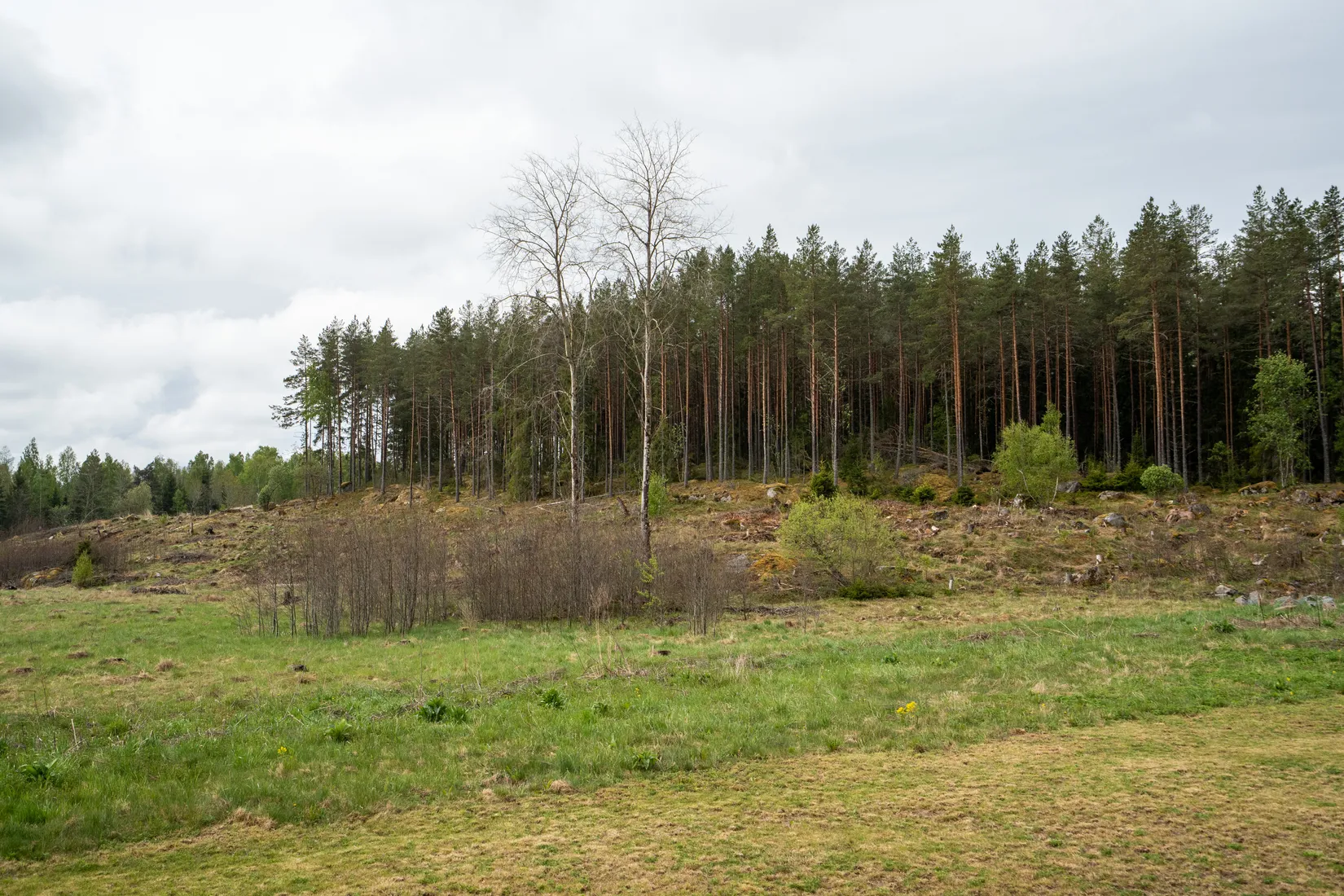 Villa, Uls-Väsby 23, Länna, Uppsala
