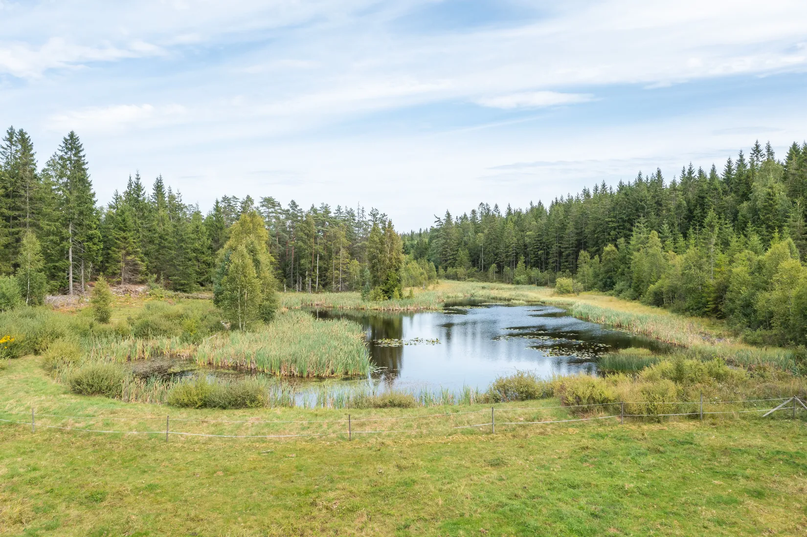 Gård/Skog, Skarnhalla Gård 1, Kinnarumma, Borås