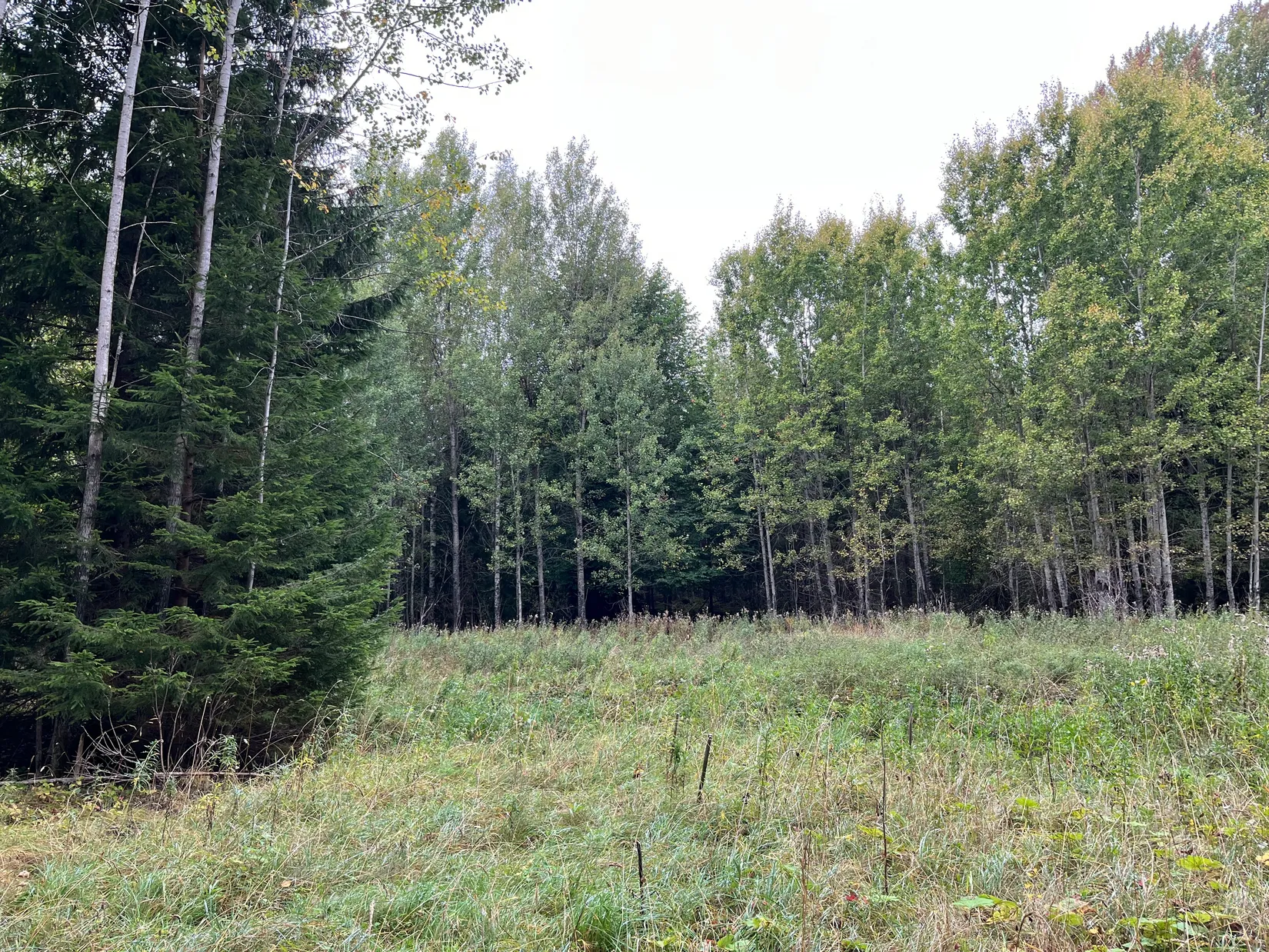 Gård/Skog, Sändavägen 12, Gävle