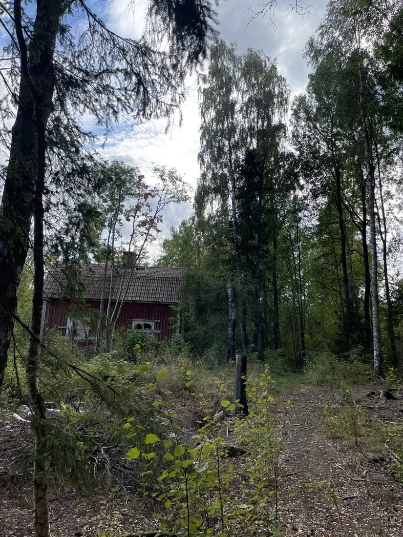 Gård/Skog, Sändavägen 12, Gävle