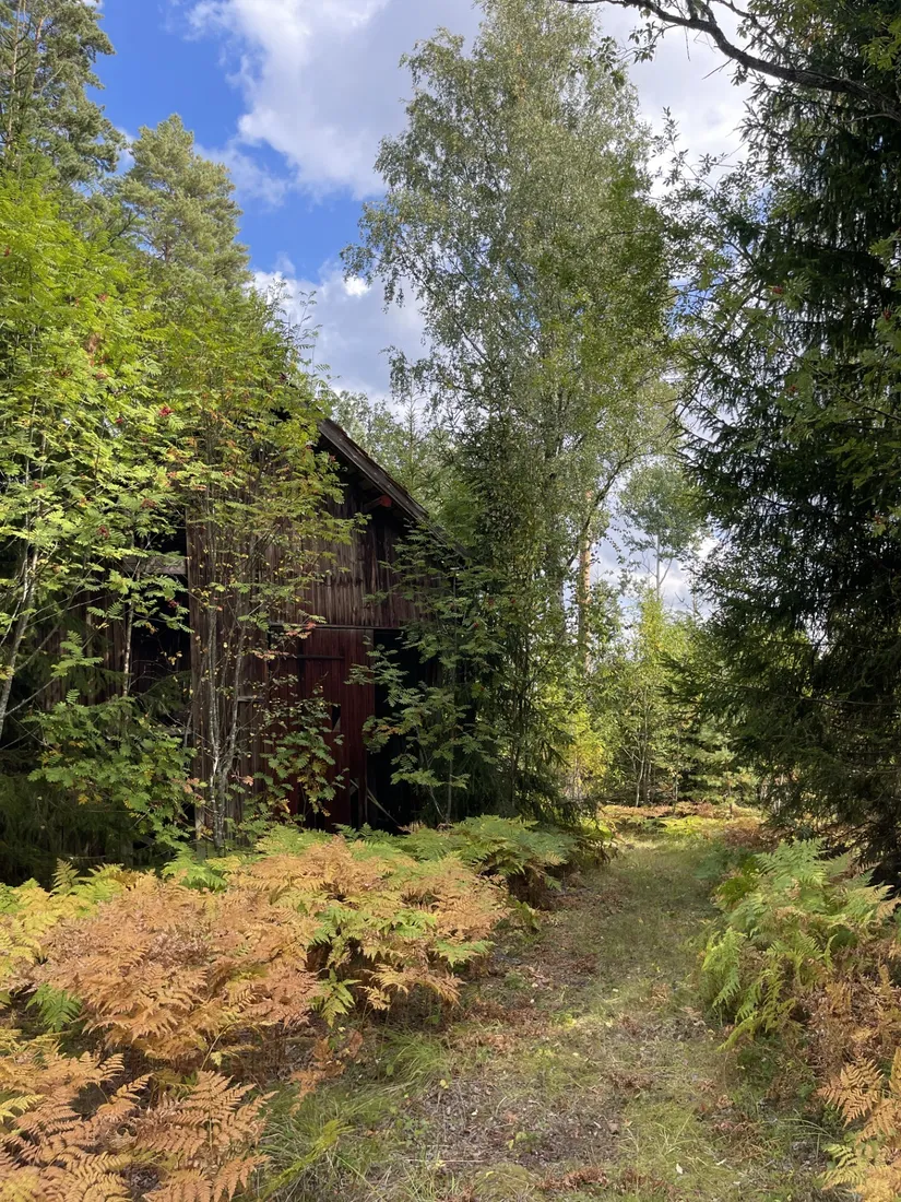 Gård/Skog, Sändavägen 12, Gävle