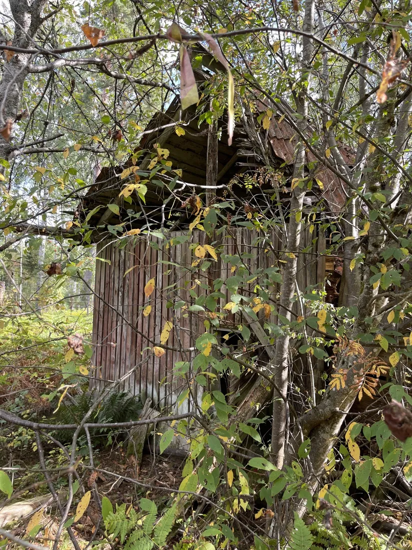 Gård/Skog, Sändavägen 12, Gävle