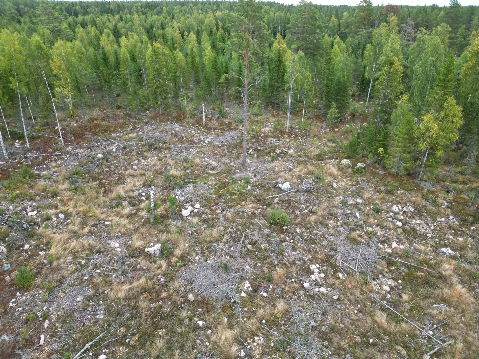 Gård/Skog, Sändavägen 12, Gävle