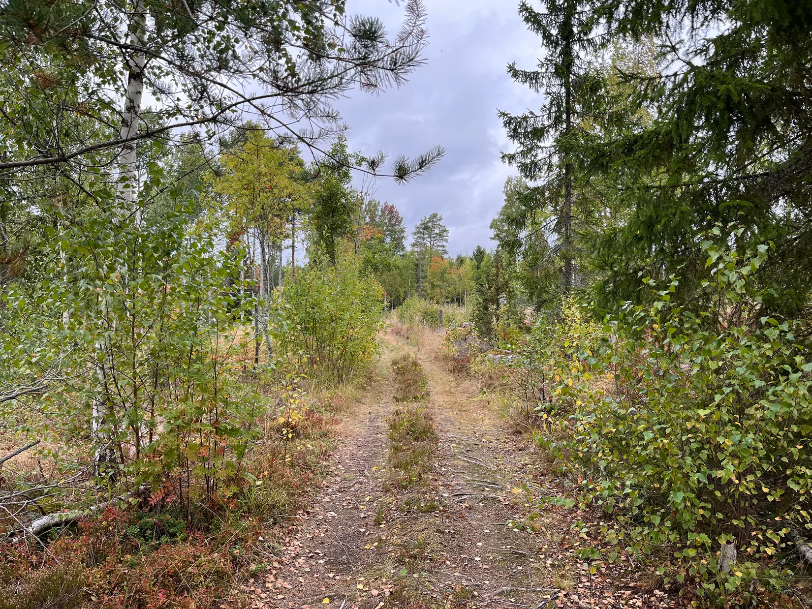 Gård/Skog, Sändavägen 12, Gävle