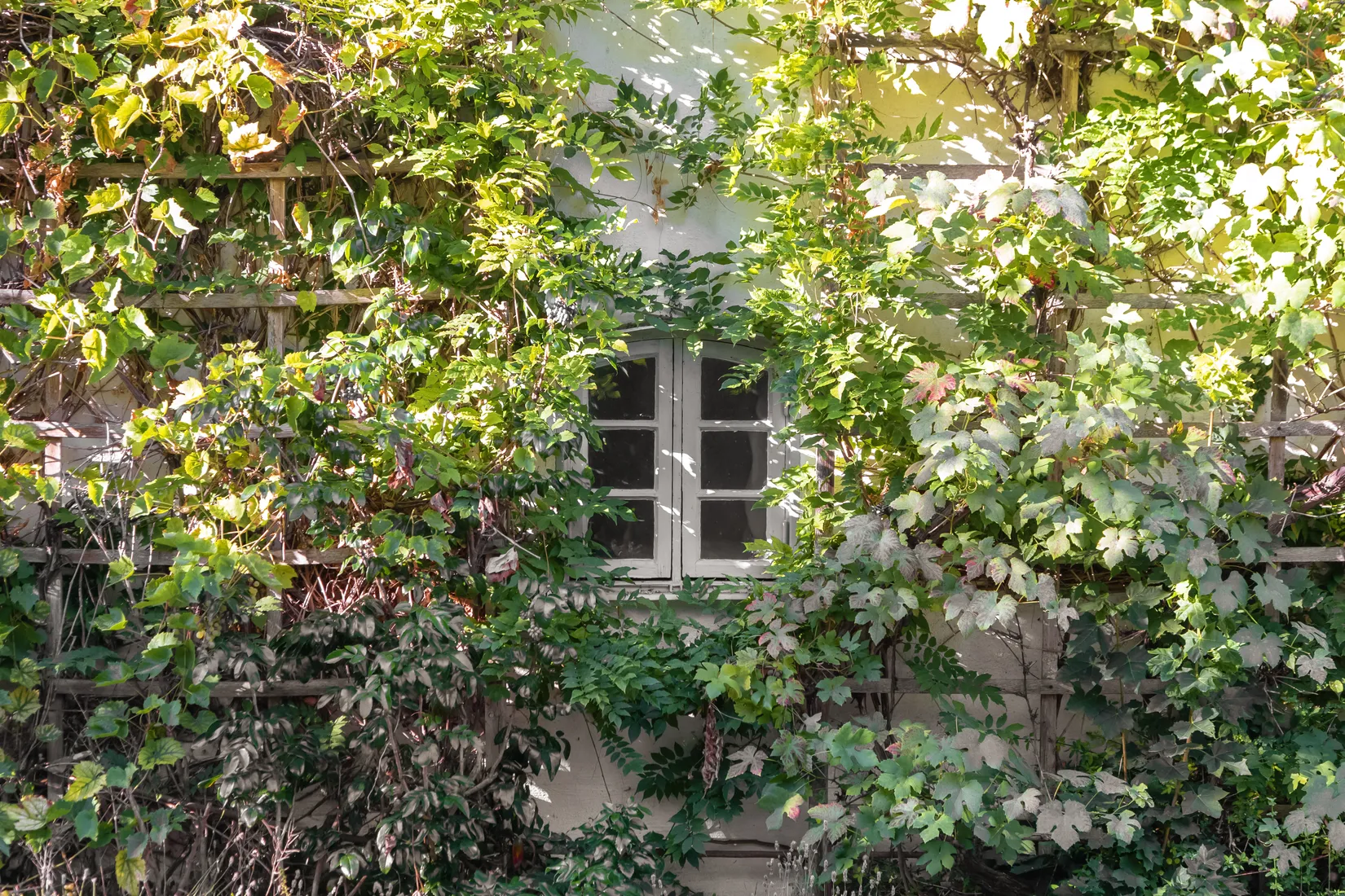 Villa, Snapphanegatan 2, Sölvesborg