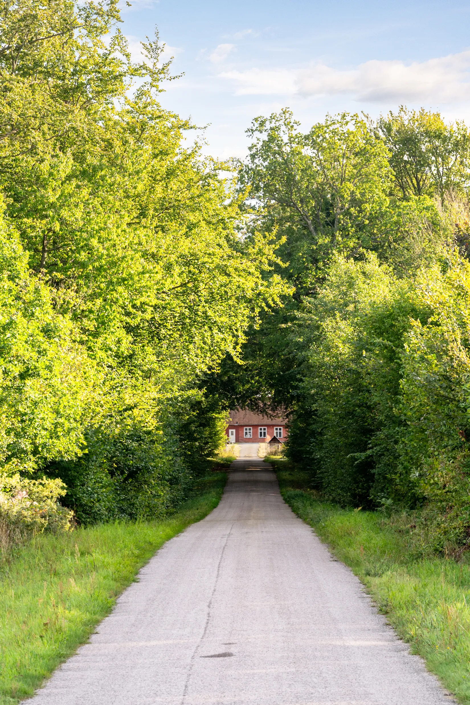 Gård/Skog, Lillehemsvägen 453-45, Södra Lökaröd, Tomelilla
