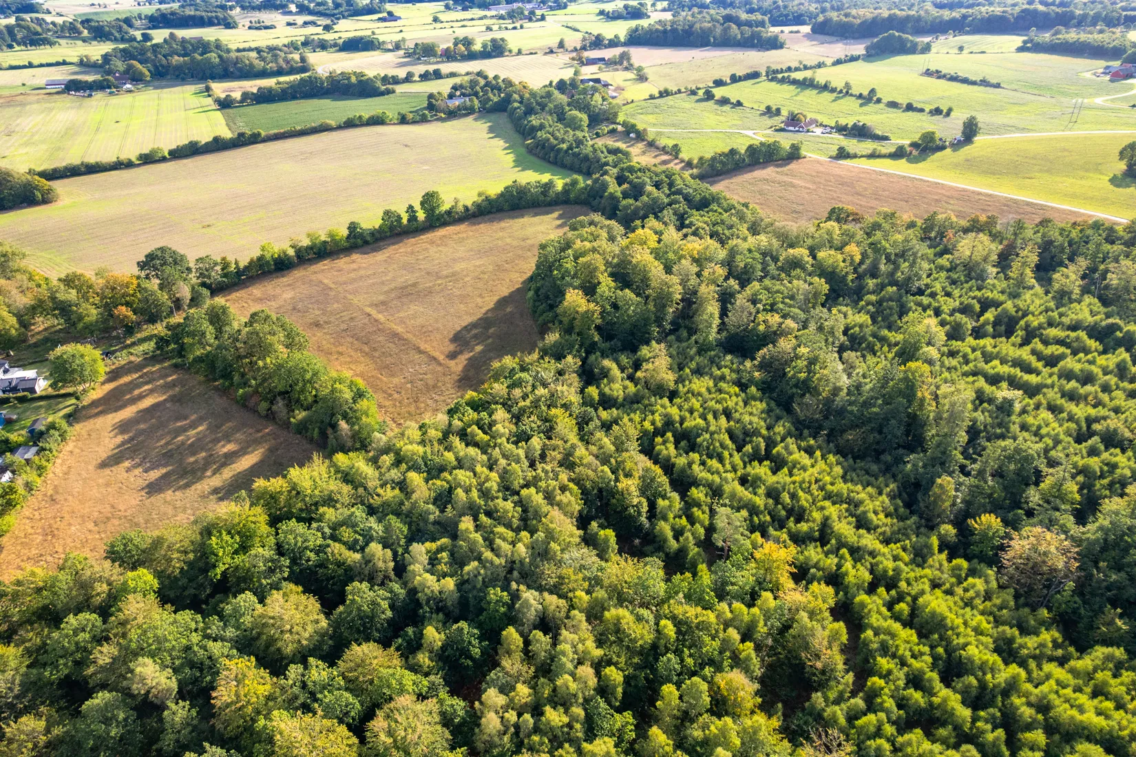 Gård/Skog, Lillehemsvägen 453-45, Södra Lökaröd, Tomelilla