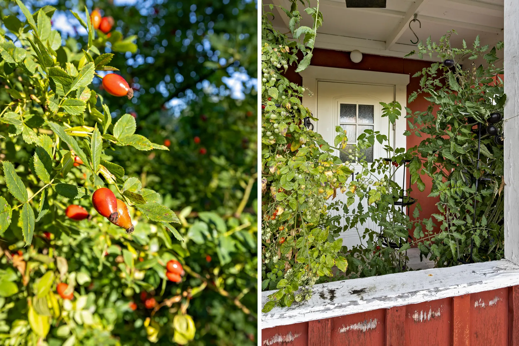 Fritidshus, Lunda 11, Lovö Lunda, Ekerö