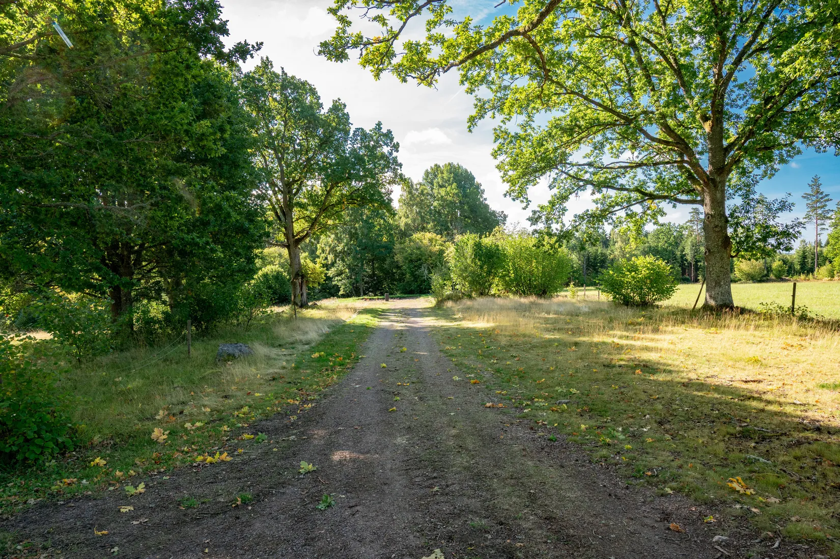 Tomt, Daretorp Ekhagen 1, Daretorp, Tidaholm