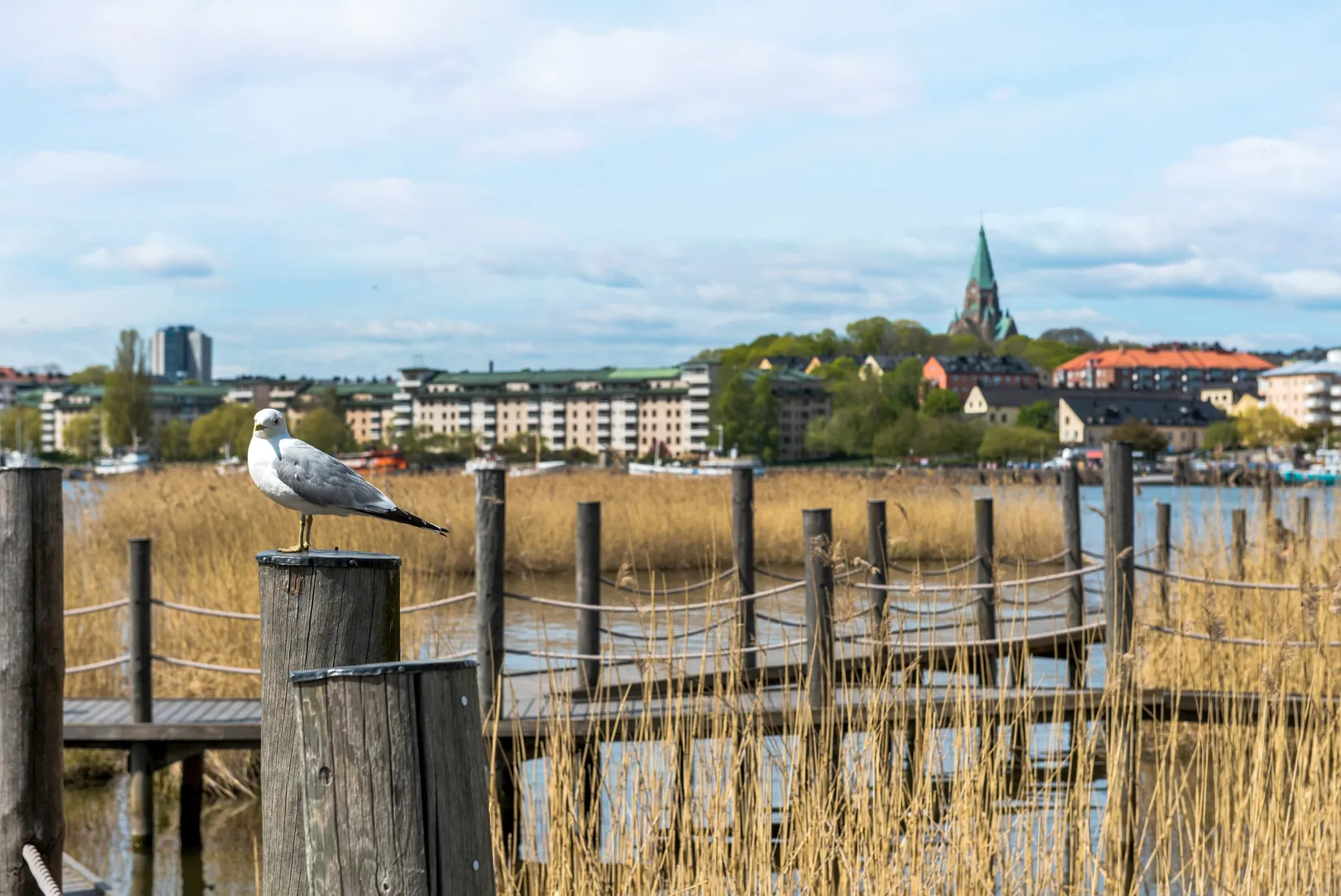 Bostadsrätt, Virkesvägen 5c, Hammarby Sjöstad, Stockholm