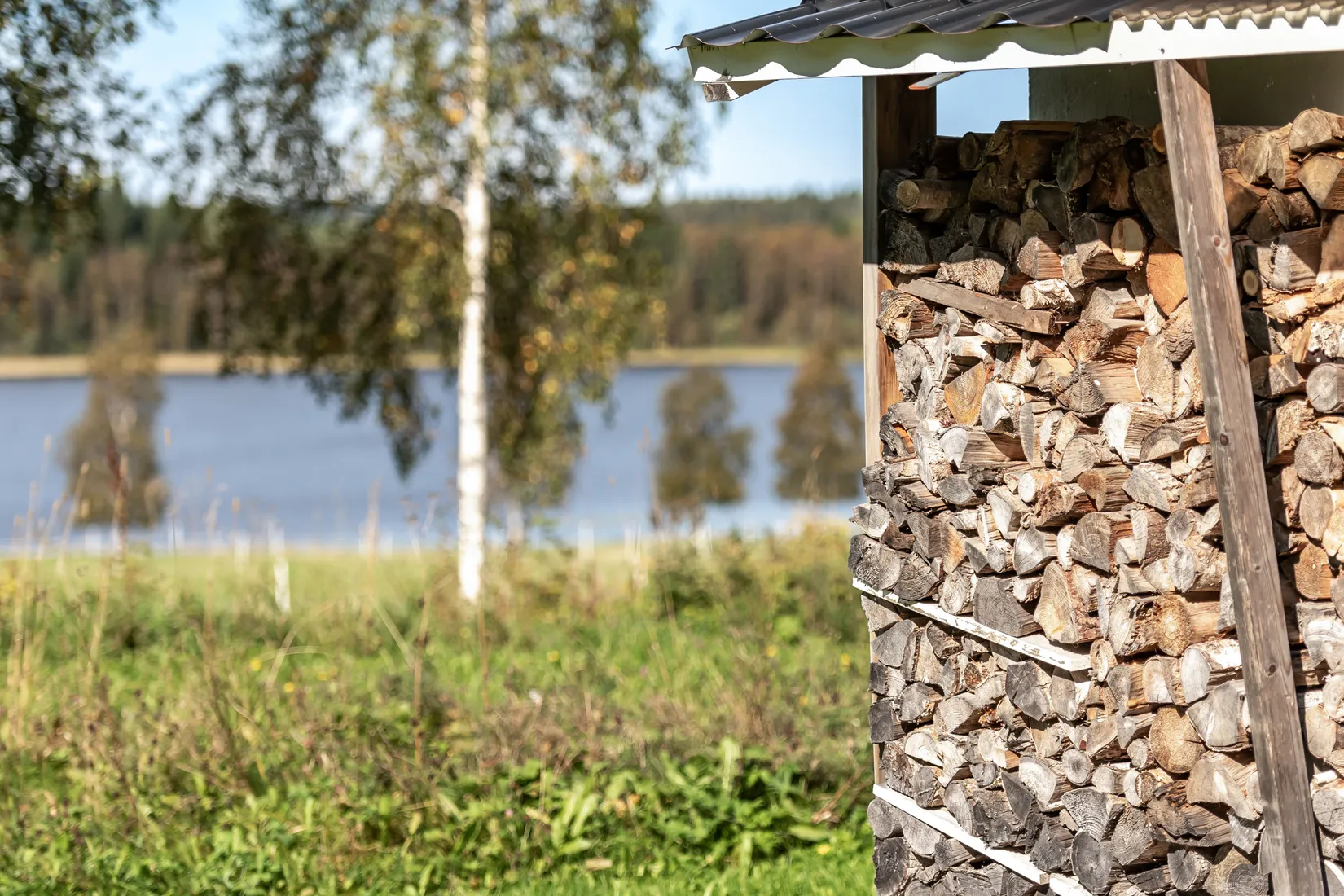 Gård/Skog, Gullsjö 17, Vännäs