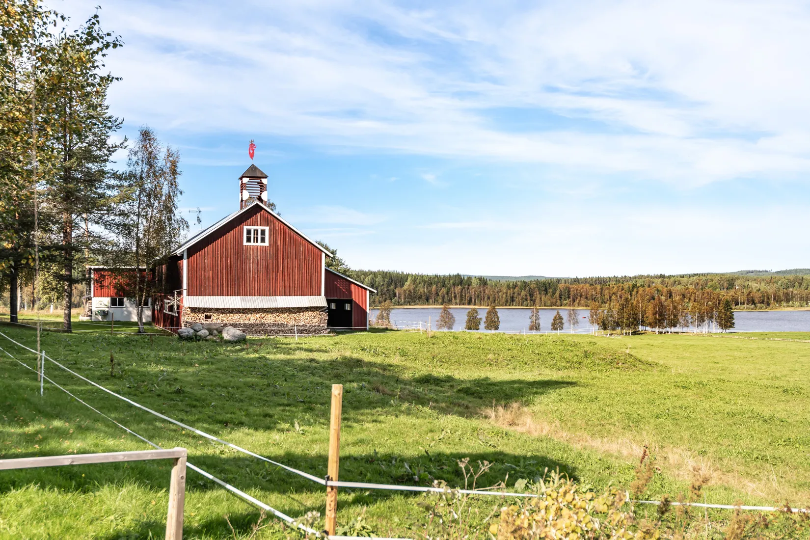 Gård/Skog, Gullsjö 17, Vännäs