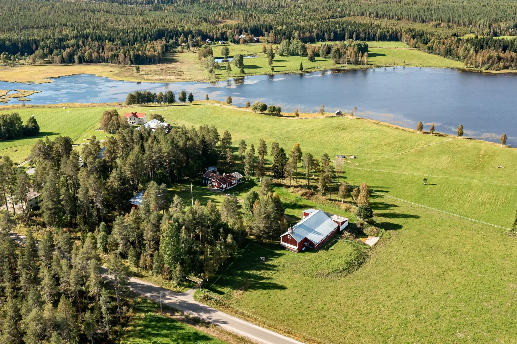 Gård/Skog, Gullsjö 17, Vännäs