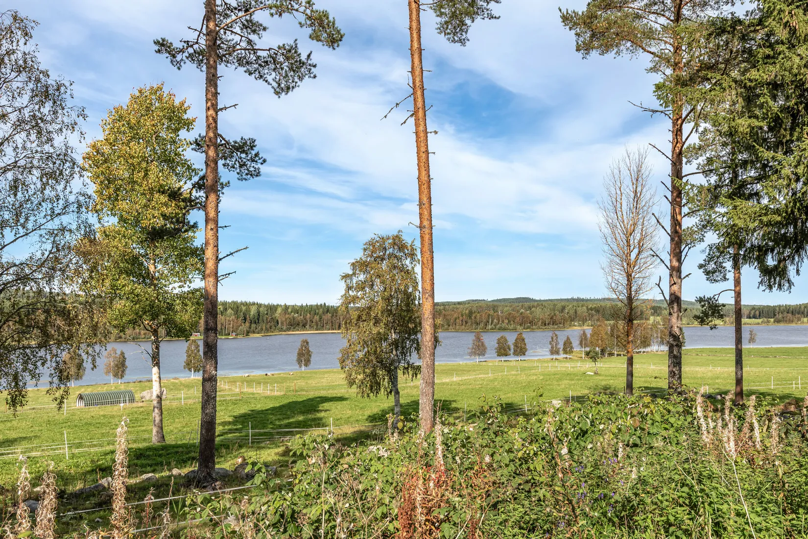 Gård/Skog, Gullsjö 17, Vännäs