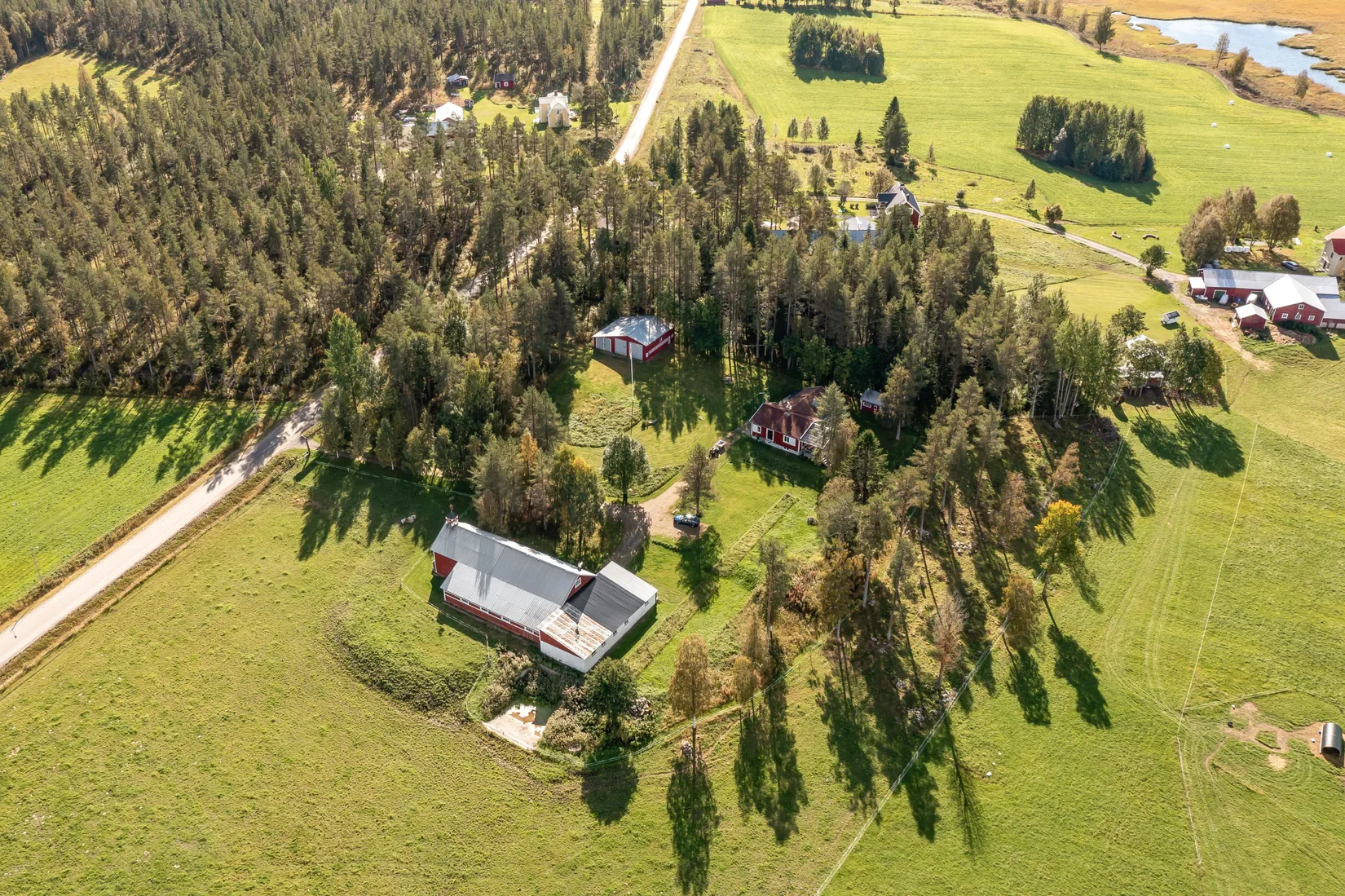 Gård/Skog, Gullsjö 17, Vännäs