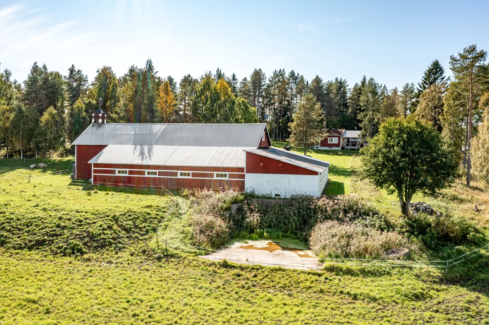 Gård/Skog, Gullsjö 17, Vännäs