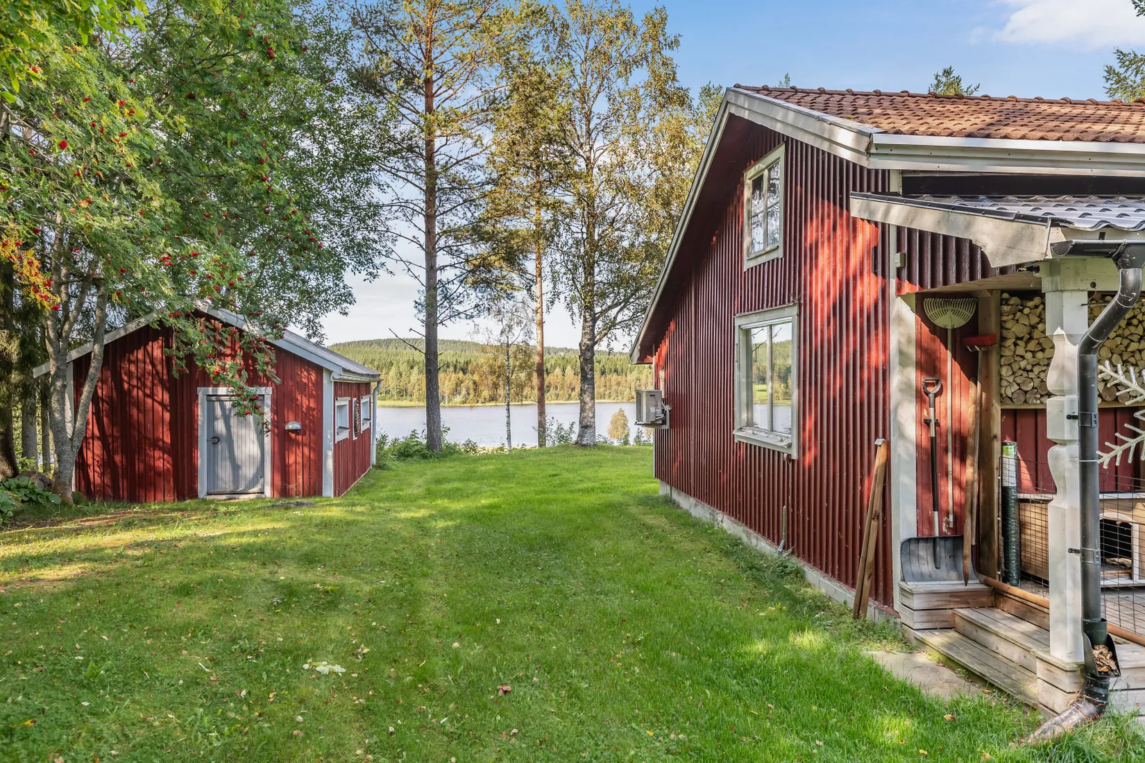Gård/Skog, Gullsjö 17, Vännäs