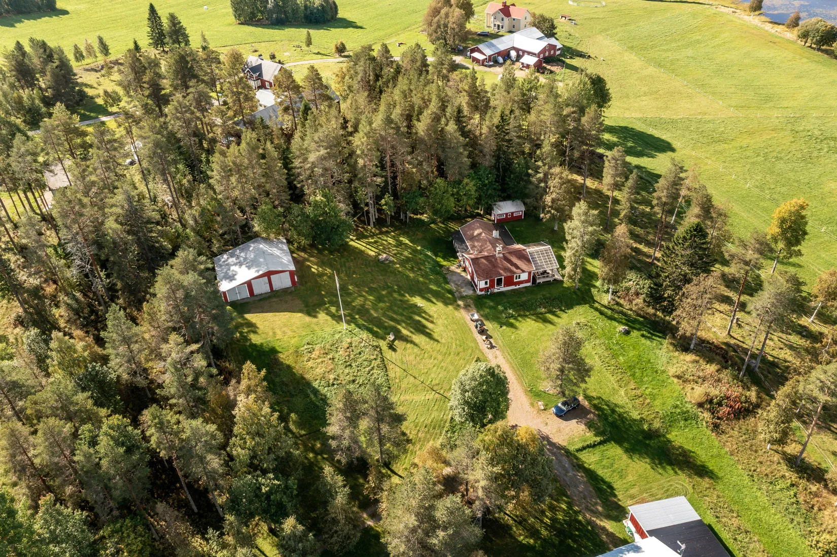 Gård/Skog, Gullsjö 17, Vännäs