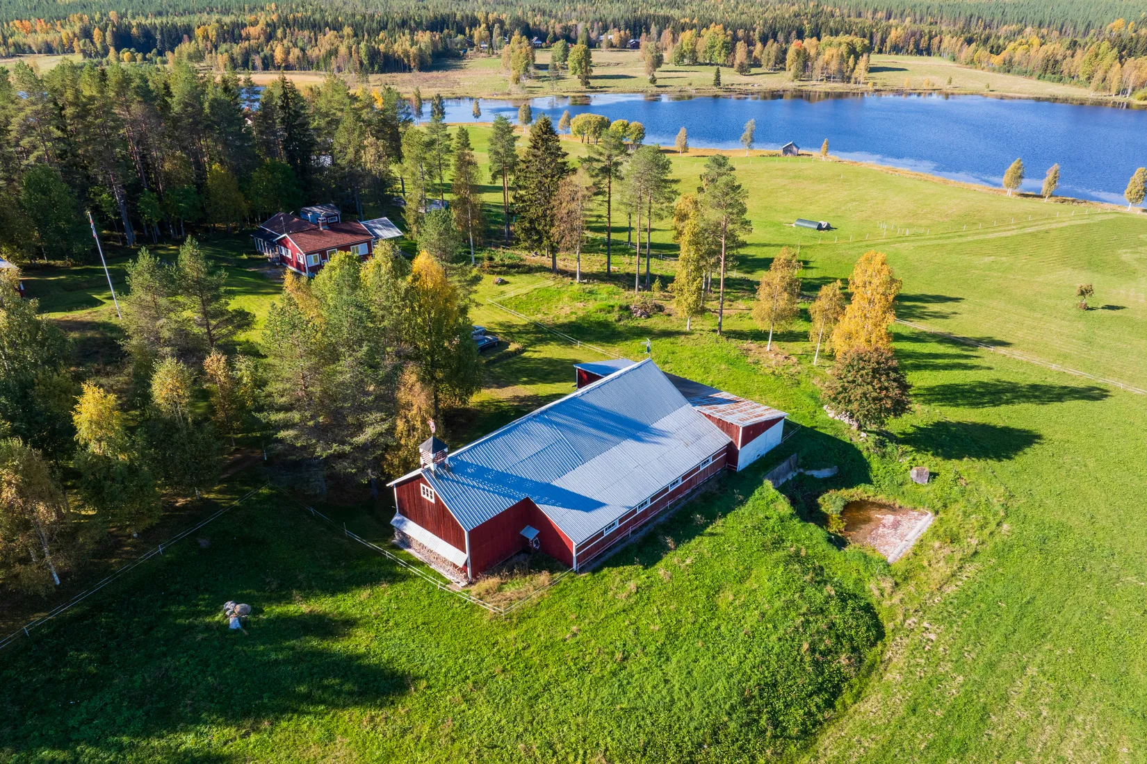 Gård/Skog, Gullsjö 17, Vännäs