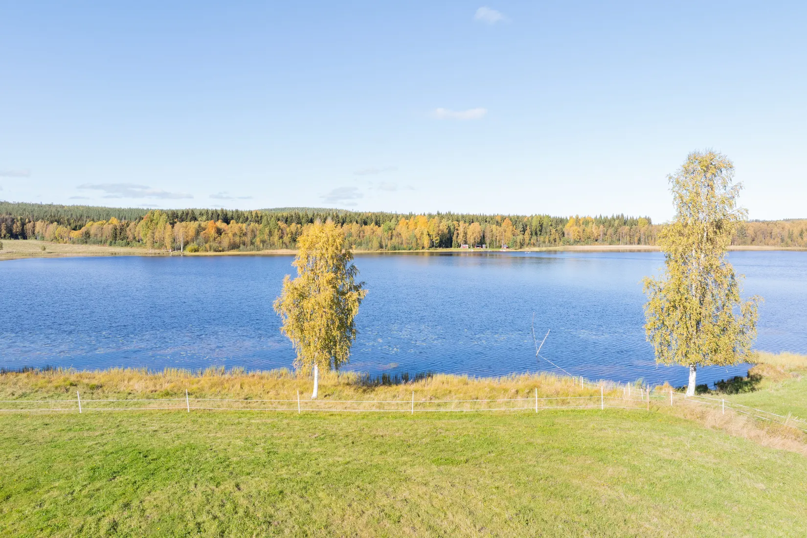 Gård/Skog, Gullsjö 17, Vännäs
