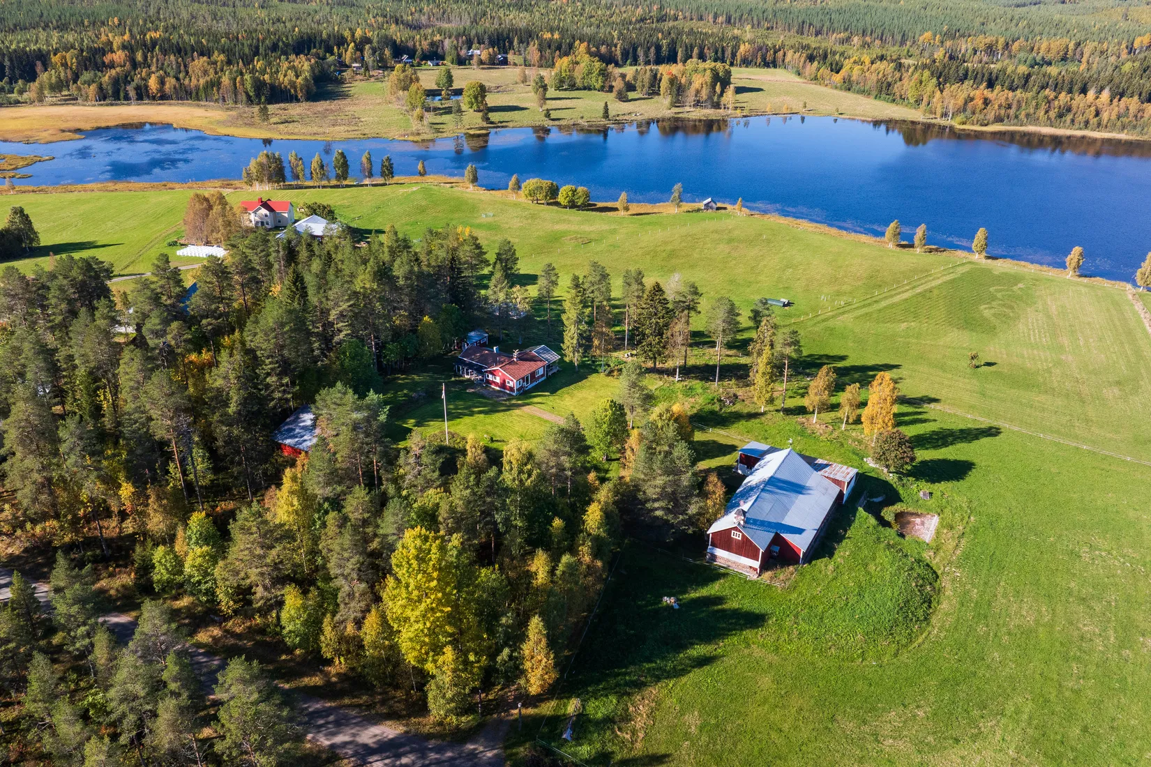 Gård/Skog, Gullsjö 17, Vännäs