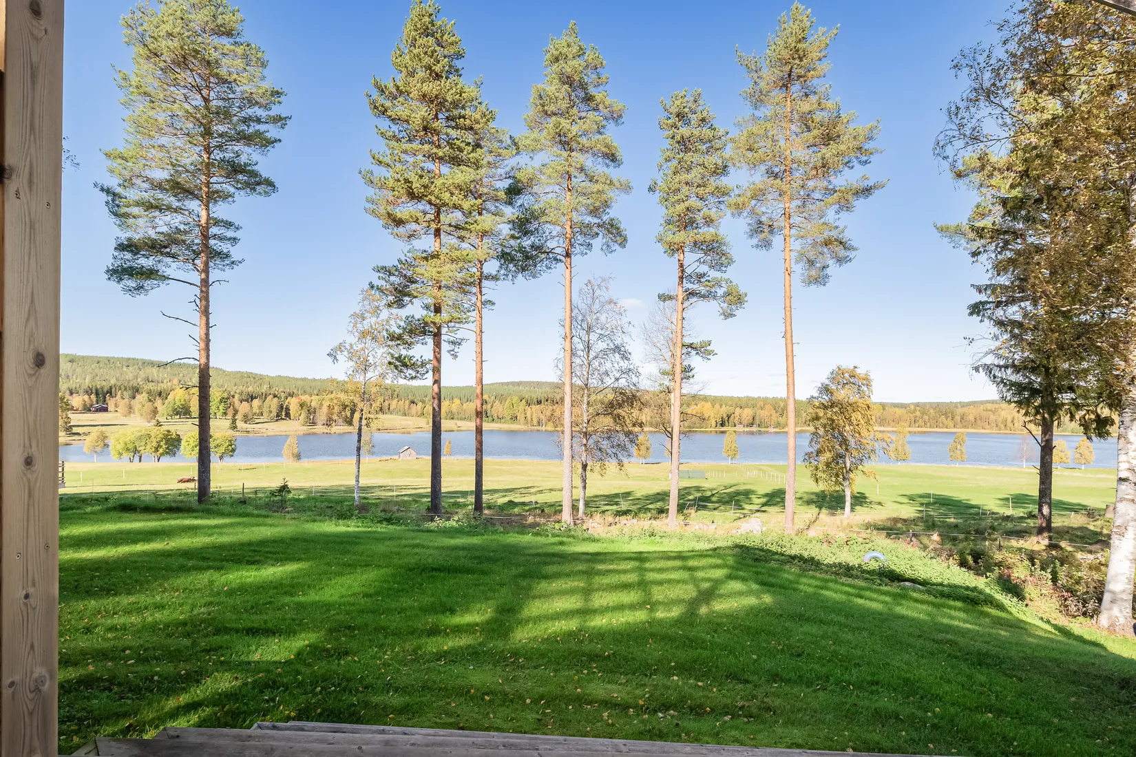 Gård/Skog, Gullsjö 17, Vännäs