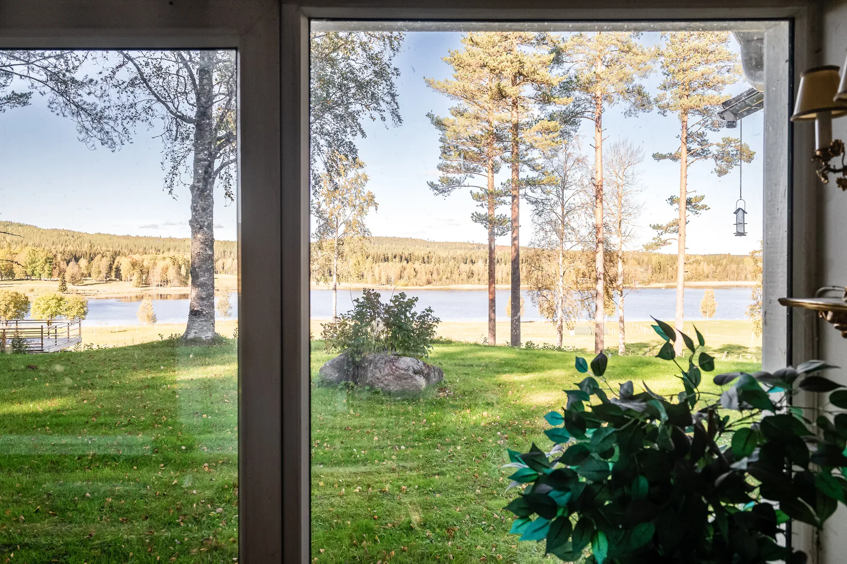 Gård/Skog, Gullsjö 17, Vännäs