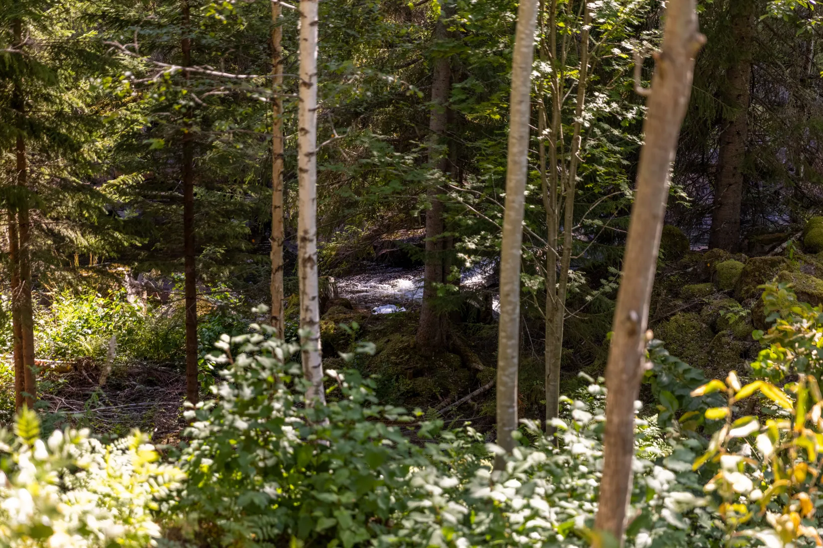 Fritidshus, Sågstugan 1, Mora
