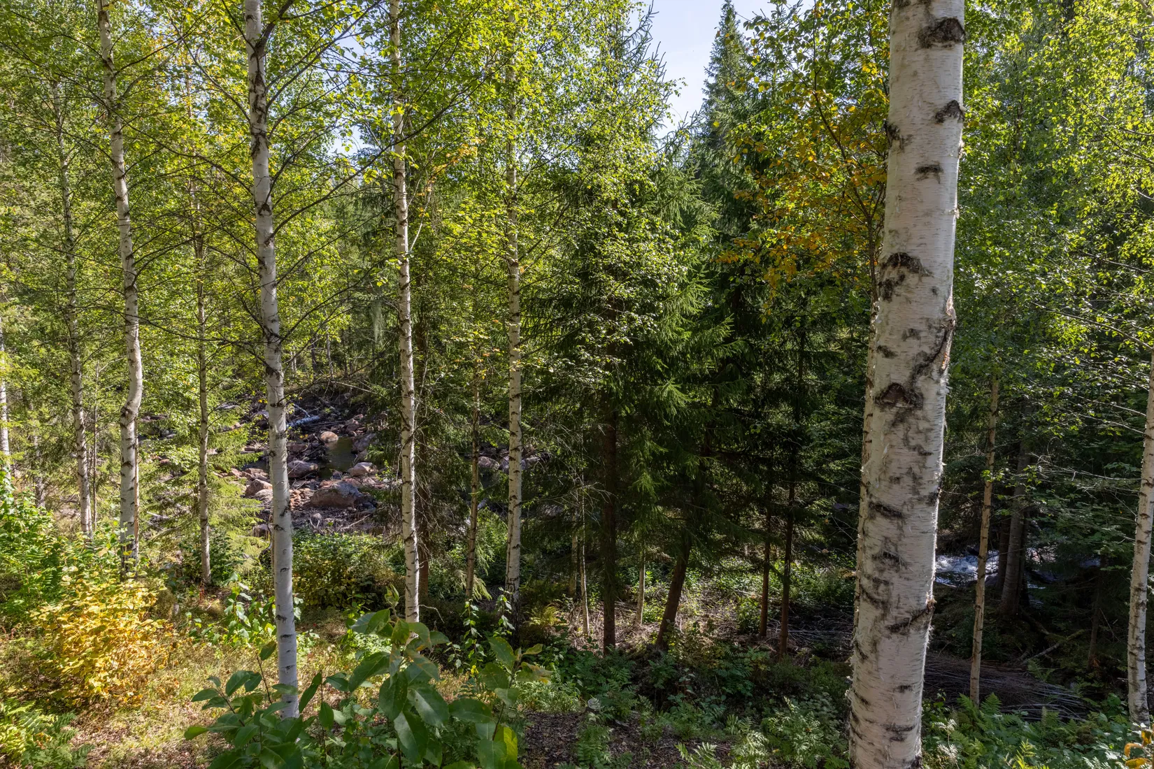 Fritidshus, Sågstugan 1, Mora