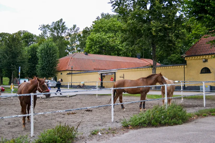 Bostadsrätt, Armégatan 36F, Västra Skogen, Solna