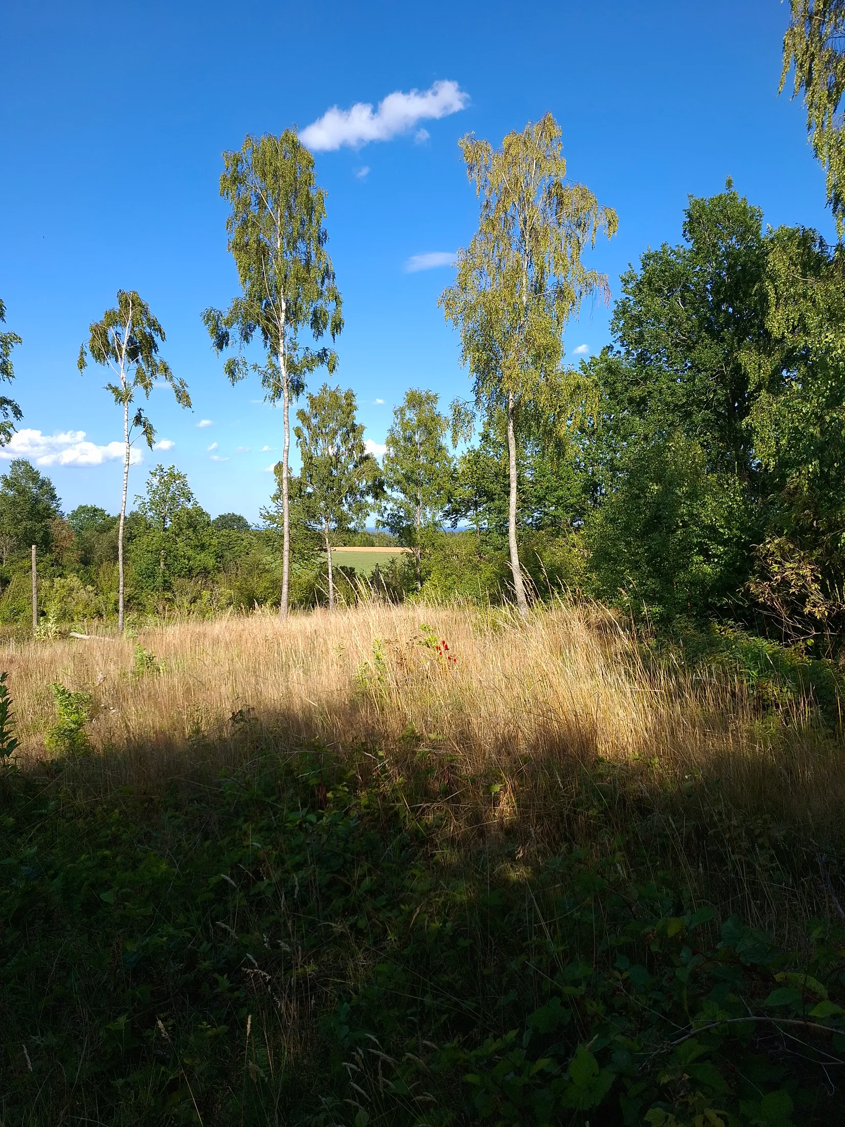 Fritidshus, Bökestorpsvägen 159, Degeberga, Kristianstad