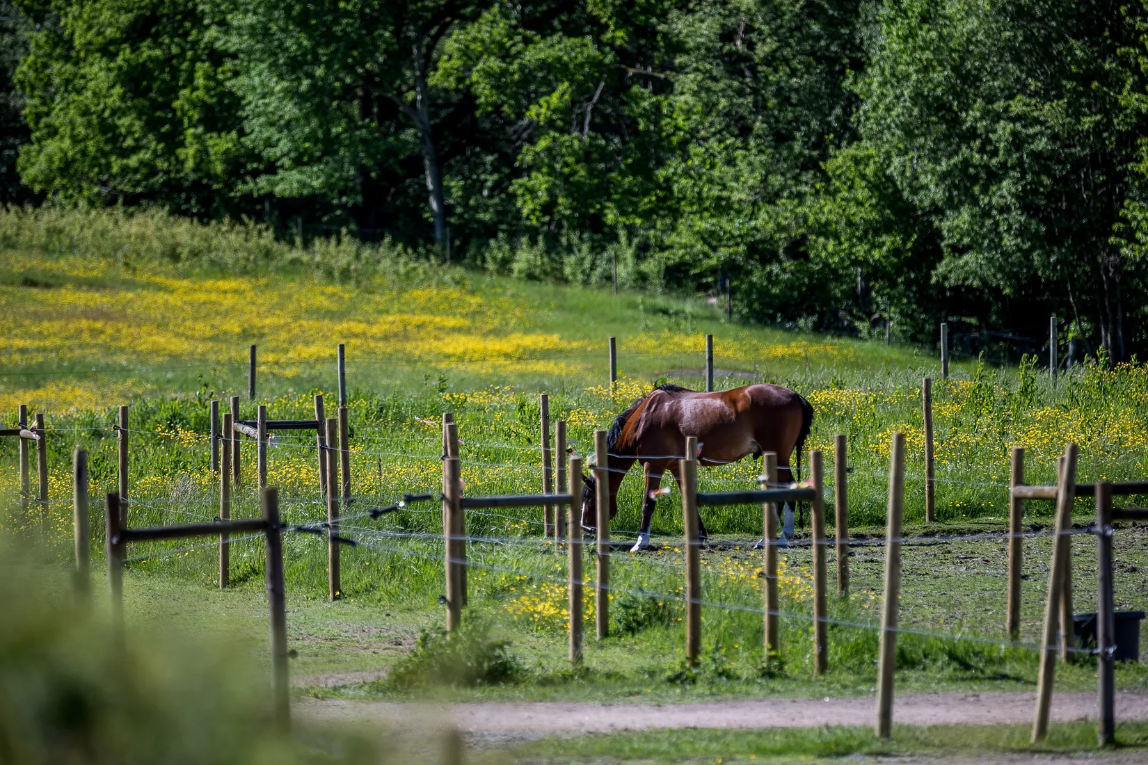 Bostadsrätt, Brännhögsvägen 17, Härryda