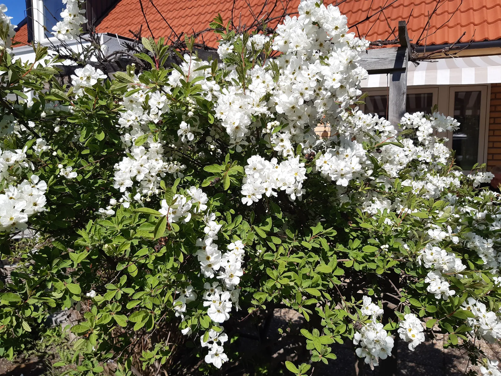 Radhus, Ånestadsgatan 87, Ånestad, Norrköping