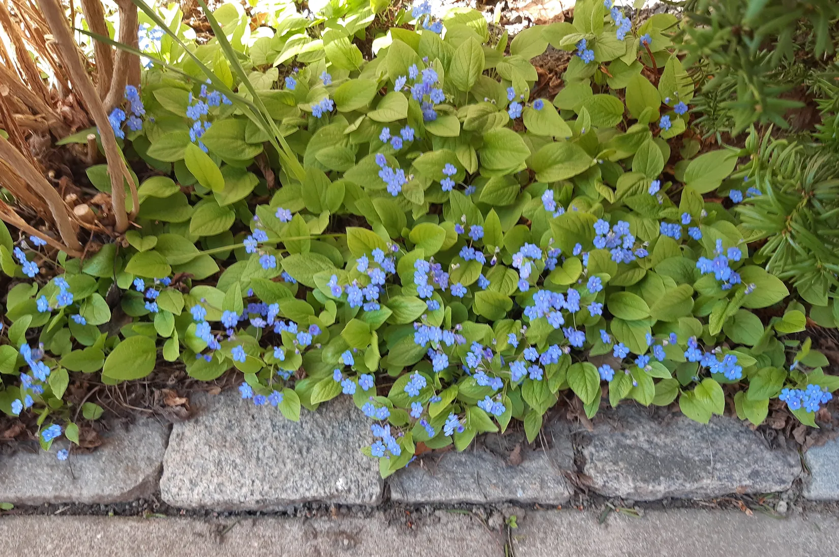 Radhus, Ånestadsgatan 87, Ånestad, Norrköping