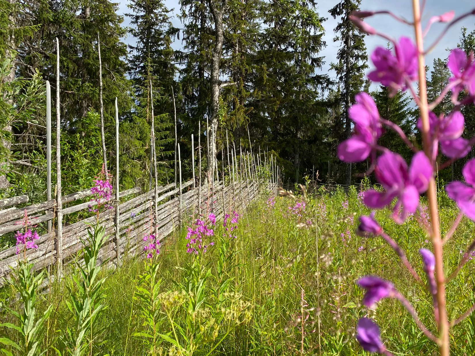 Fritidshus, Rörosvägen 168, Härjedalen