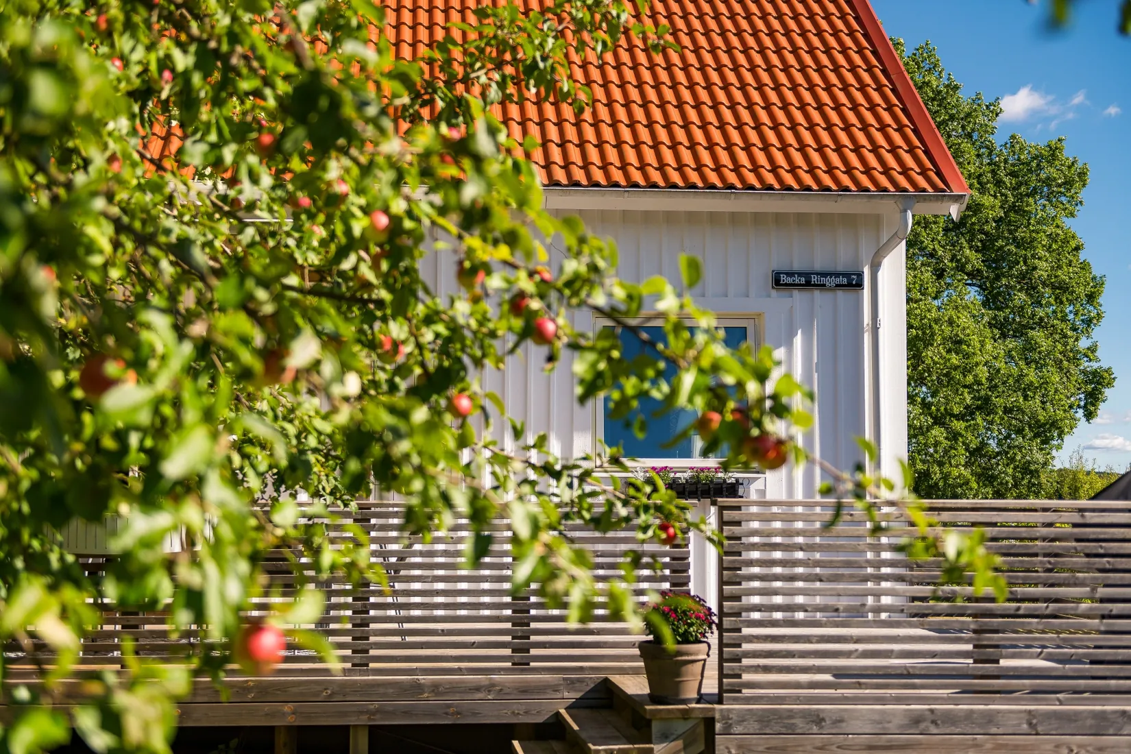 Villa, Backa ringgata 7, Skene, Mark