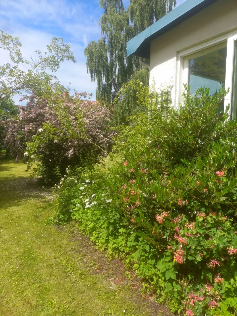 Villa, Trinnöjegatan 5, Ranten, Falköping