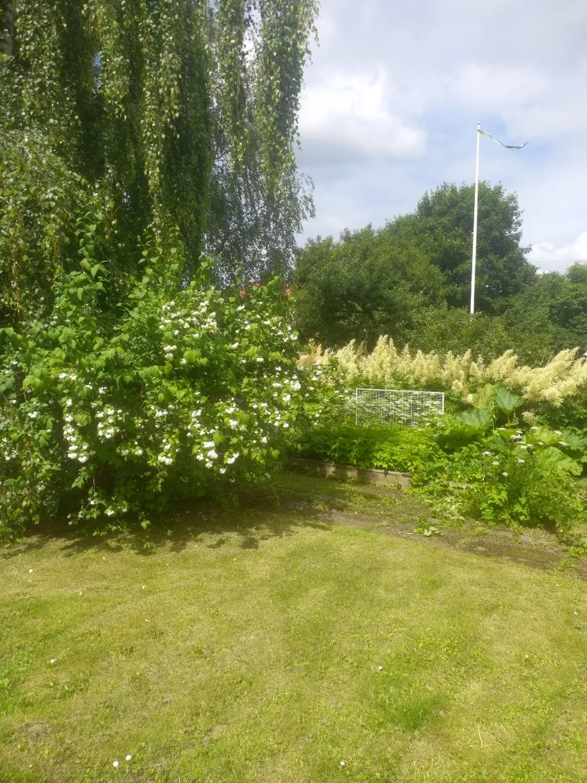 Villa, Trinnöjegatan 5, Ranten, Falköping